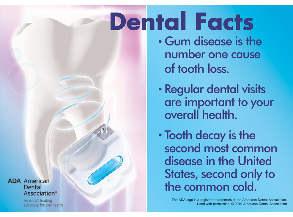 Dental Facts Postcard Image 0