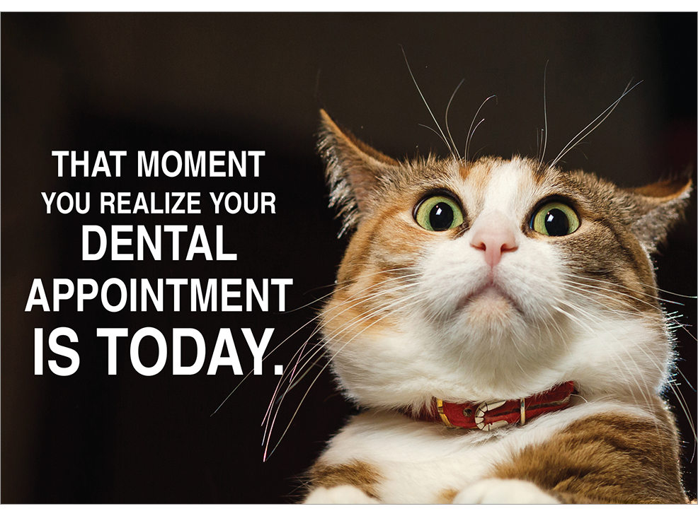 Your Dental Appointment is Today Laser Card Image 0